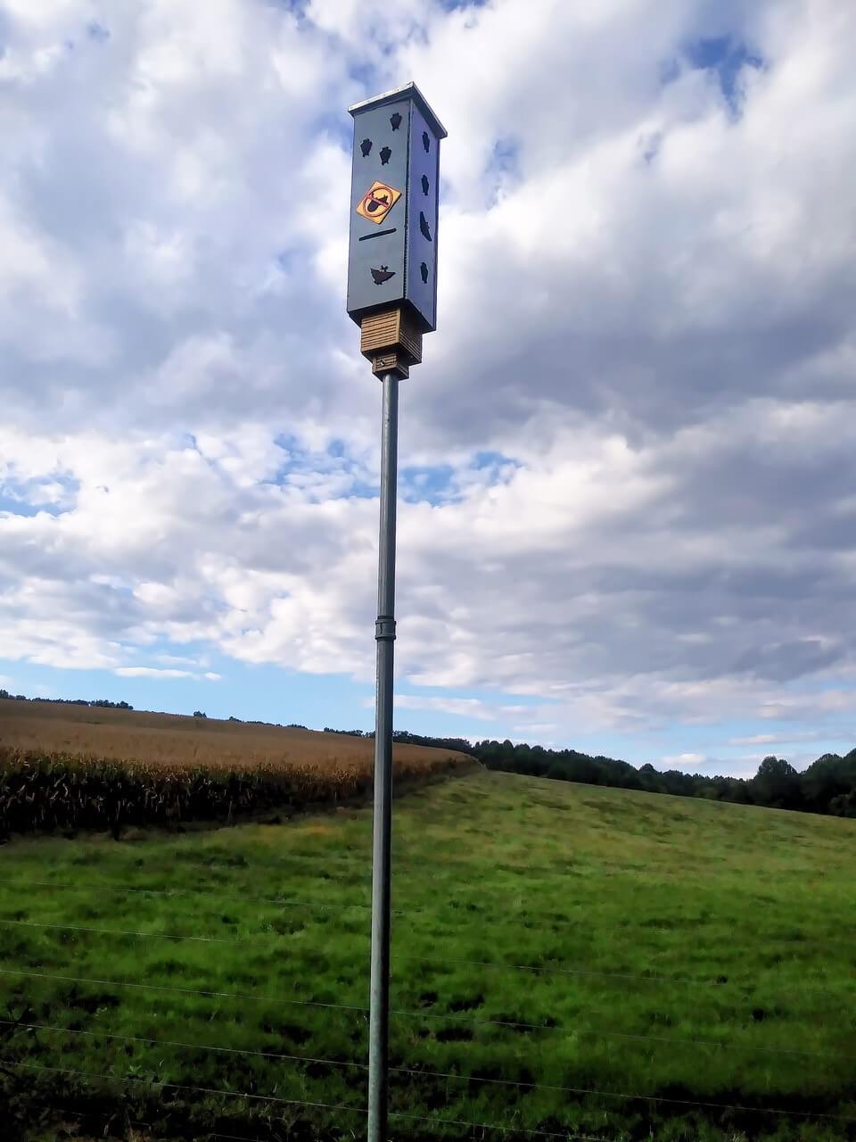 How To Build A Bat House Tips And Plans For Pole Mounted Rocket Box Dirty Foot Farm